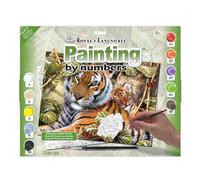 Royal Brush Junior Large Paint by Number Kit 15.25 x 11.25-inch-in The Shadows, Other, Multicoloured, 4.87 x 42.38 x 34.76 cm