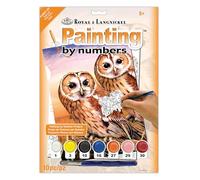 Royal Brush Junior Small Paint by Number Kit x, Tawny Owls, 8.75 by 11.75-Inch