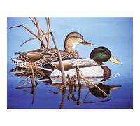 Royal Brush Paint by Number Kit 15.375-inch x 11.25-inch-Blue Water Mallards, Other, Multicoloured, 5.17 x 42.38 x 34.76 cm