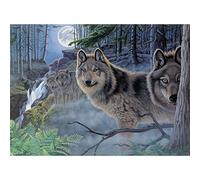 Royal Brush Paint By Number Kit 15.375-inch x 11.25-inchMystical Moonlight, Other, Multicoloured