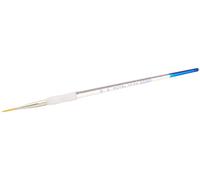 ROYAL BRUSH Royal & Langnickel Gold Taklon Short Liner Paintbrush: Size 4