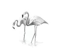 ROYAL BRUSH Sketching Made Easy Flamingoes Mini Kit, 5" by 7"