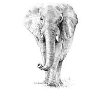 Royal Brush Sketching Made Easy Kit 9"X12"-Elephant