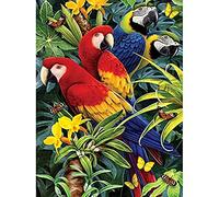 Royal Brush Various Junior Small Paint By Number Kit 8.75-inch x 11.75-inch, Majestic Macaws PJS-83