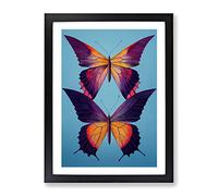 Royal Butterflies Framed Wall Art Print A2 Black