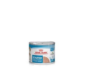 Royal Canin 9003579002681 Starter Mousse, 195 g