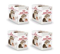 Royal Canin Ageing 12+ In Gravy Senior Wet Cat Food, 85g