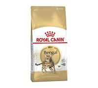 ROYAL CANIN® Bengal Adult Dry Cat Food - 10kg