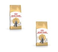 ROYAL CANIN® British Shorthair Adult Cat Dry Food - 400g