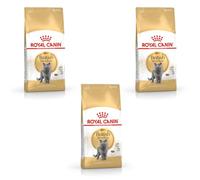Royal Canin Feline Breed British Shorthair 400 g