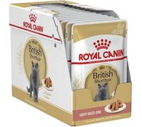 Royal Canin Wet Adult Cat Food British Shorthair in Gravy 24 x 85g