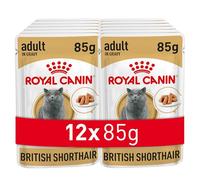Royal Canin British Shorthair Adult in Gravy - 12 x 85g