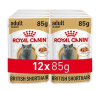 Royal Canin British Shorthair Wet Cat Food, 85 g (Pack of 12)