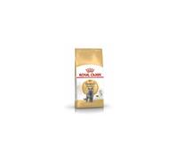 Royal Canin Cat Food British Shorthair Dry Mix 2 kg