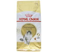 Royal Canin Cat Food Norwegian Forest 2 KG