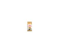 Royal Canin Cat Persian Skin & Coat Health Hairball Formation 10kg