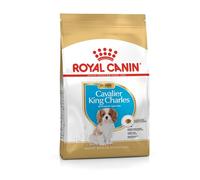 Royal Canin King Charles Cavalier Puppy Dry Food 1.5kg