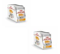 Royal Canin Coat Care Loaf - 12 x 85g