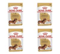 Royal Canin Dachshund Loaf - Multibuy: 24 x 85g