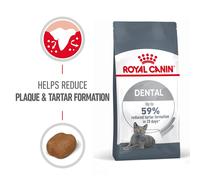 Royal Canin Dental Care Adult Dry Cat Food - Bag Size : 3.5kg