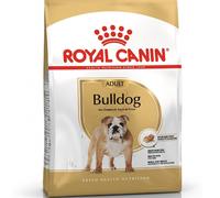 ROYAL CANIN DOG BULLDOG BREED 12KG : Adult Dry Kibble Food rc Pet Feed Meals
