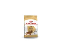 Royal Canin Cocker Adult 3 kg