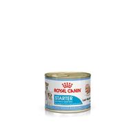 Royal Canin Dog Food Starter Mousse 12 x 195 g