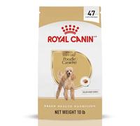 Royal Canin Dry Dog Food, Poodle 30 Formula, 10-Pound Bag