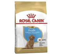 Royal Canin Dry Puppy Food - Poodle, 3 kg