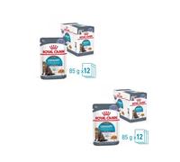 Royal Canin FCN Urinary Care Jelly | Double Pack | 2 x 12 x 85 g | Complete Food for Adult Cats (Jelly) | Can Help Support Urinary Tract Health