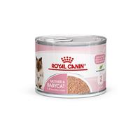 ROYAL CANIN® Feline Health Nutrition Mother and Babycat Cat Mousse - 12 x 195g Cans