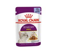 Royal Canin FHN Sensory Smell/Taste/Feel In Gravy Or Jelly Wet Cat Food 12 x 85g