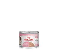 ROYAL CANIN First Age Mother & Babycat Mousse 12 x 195g