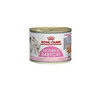 ROYAL CANIN First Age Mousse Mother & Baby Cat Wet Cat Food - 12 x 195g