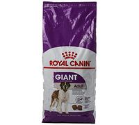 Royal Canin Giant Adult Dry Dog Food 15kg