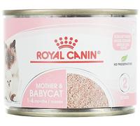 ROYAL CANIN® Feline Health Nutrition Mother and Babycat Cat Mousse - 195g Can