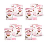 Royal Canin Kitten Complete Wet Food in Gravy 48 x 85g