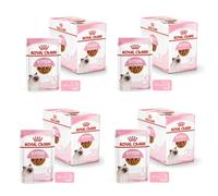 ROYAL CANIN® Feline Health Nutrition Kitten Wet Cat Food in Gravy - 12 x 85g