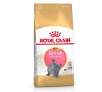 Royal Canin Kitten Food - British Shorthair Complete Food 10Kg
