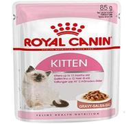 ROYAL CANIN Kitten in Gravy Wet Food 85g (Pack of 24)
