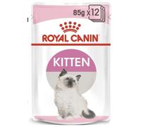 Royal Canin Kitten in Gravy Wet Food, 85g