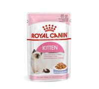 Royal Canin Kitten in Jelly Wet Pouches 85g (Pack of 48)