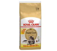 Royal Canin Maine Coon Adult - 10kg + 2kg Free!