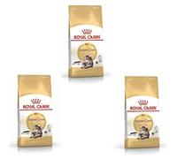 ROYAL CANIN® Maine Coon Adult Cat Food - 400g