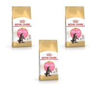 Royal Canin Maine Coon Kitten | 3 Pack | 3 x 400g | Complete Food for Maine Coon Kitten | Specially Designed for Maine Coon Cat Puppies | Up to 12 Months of Life