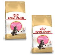 Royal Canin Maine Coon Kitten | Double Pack | 2 x 400 g | Dry cat food | Specially for Maine Coon cat puppies | To support digestion and immune system