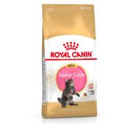 Royal Canin Maine Coon Kitten - 10kg