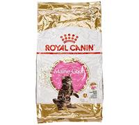 Royal Canin Maine Coon Kitten Dry Cat Food 10kg