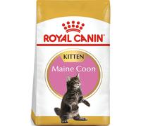 ROYAL CANIN Maine Coon Kitten 10kg