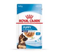 Royal Canin Maxi Puppy in Gravy - Saver Pack: 40 x 140g